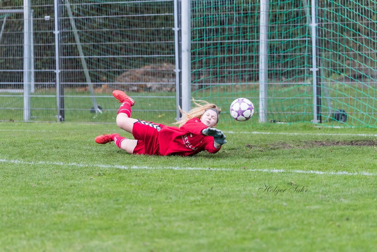 Bild 153 - B-Juniorinnen SV Henstedt Ulzburg - Hamburger SV : Ergebnis: 2:3